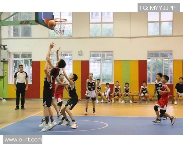 重庆篮球队转型之路的纪实探索与发展历程全景回顾 重庆篮球队转型之路的纪实探索与发展历程全景回顾