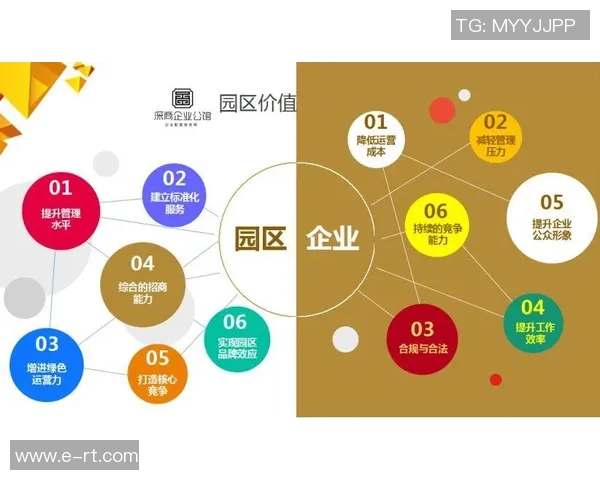 南京网球队运营分析:成功经验与面临挑战的深度探讨 南京网球队运营分析:成功经验与面临挑战的深度探讨