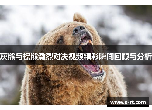 灰熊与棕熊激烈对决视频精彩瞬间回顾与分析
